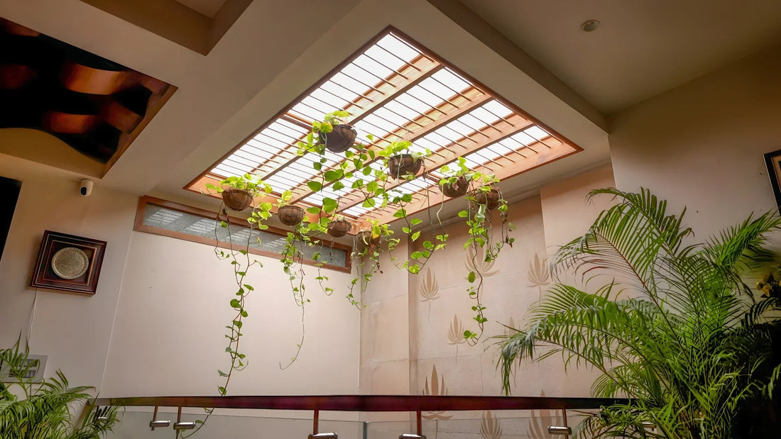 Types of Artificial Lights for Homes: Which One Creates the Best Daylight Feel?