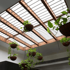 1X2	1X3	2X1	2X2	2X3	4X1	4X2	4X3	6X1	6X2	6X3	8X1	8X2	8X3