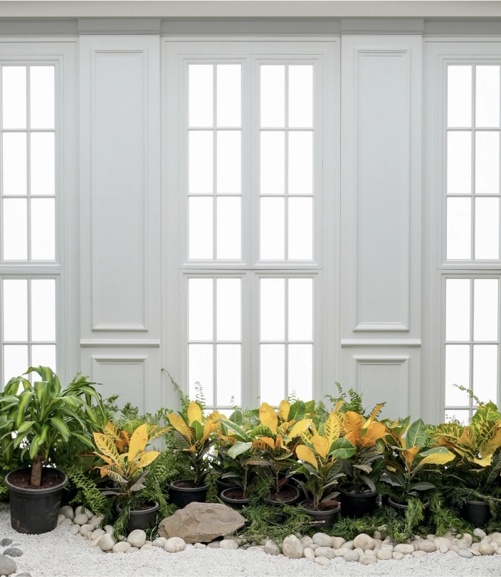 French Window