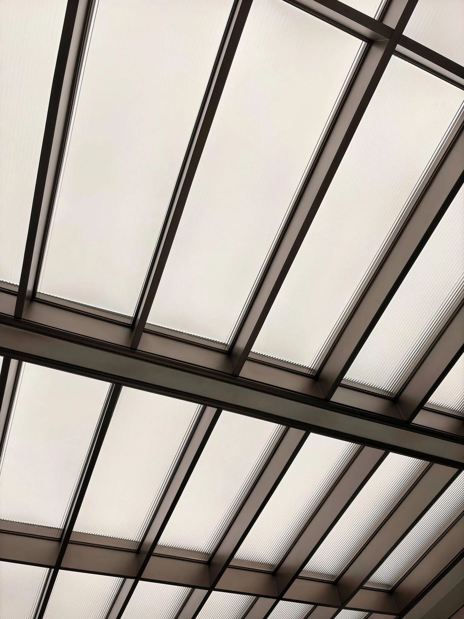 Gallery Image 19